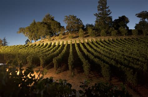 Napa helena - A number of Napa Valley ’s most notable wineries have become caught up in a mysterious federal probe. Late last year, 40 people and businesses in the California wine …